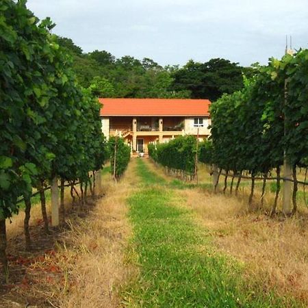 Granmonte Wine Cottage Phajajen Kültér fotó