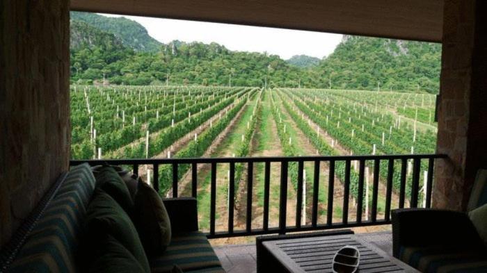 Granmonte Wine Cottage Phajajen Kültér fotó