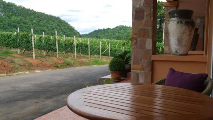 Granmonte Wine Cottage Phajajen Szoba fotó