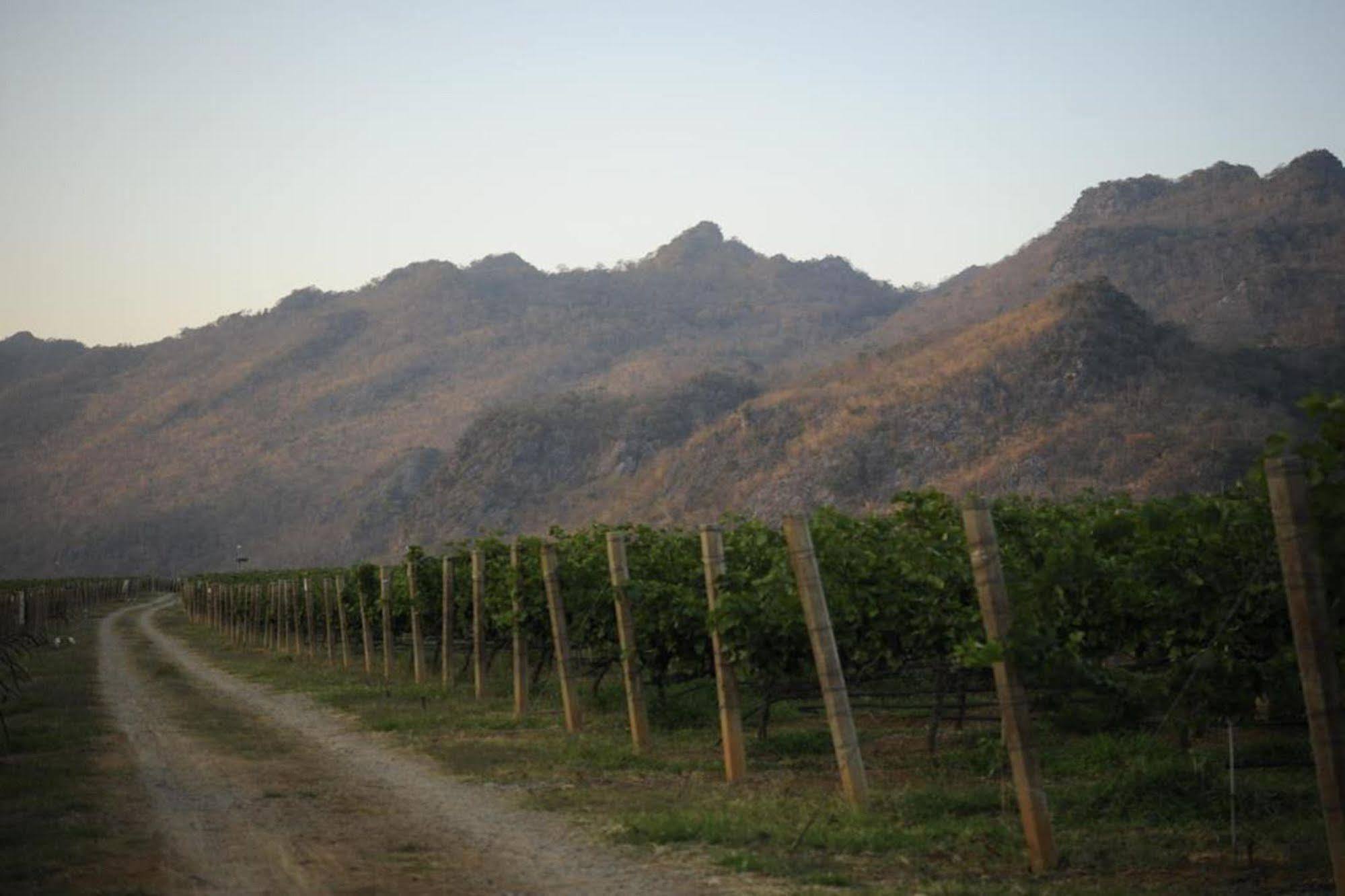 Granmonte Wine Cottage Phajajen Kültér fotó