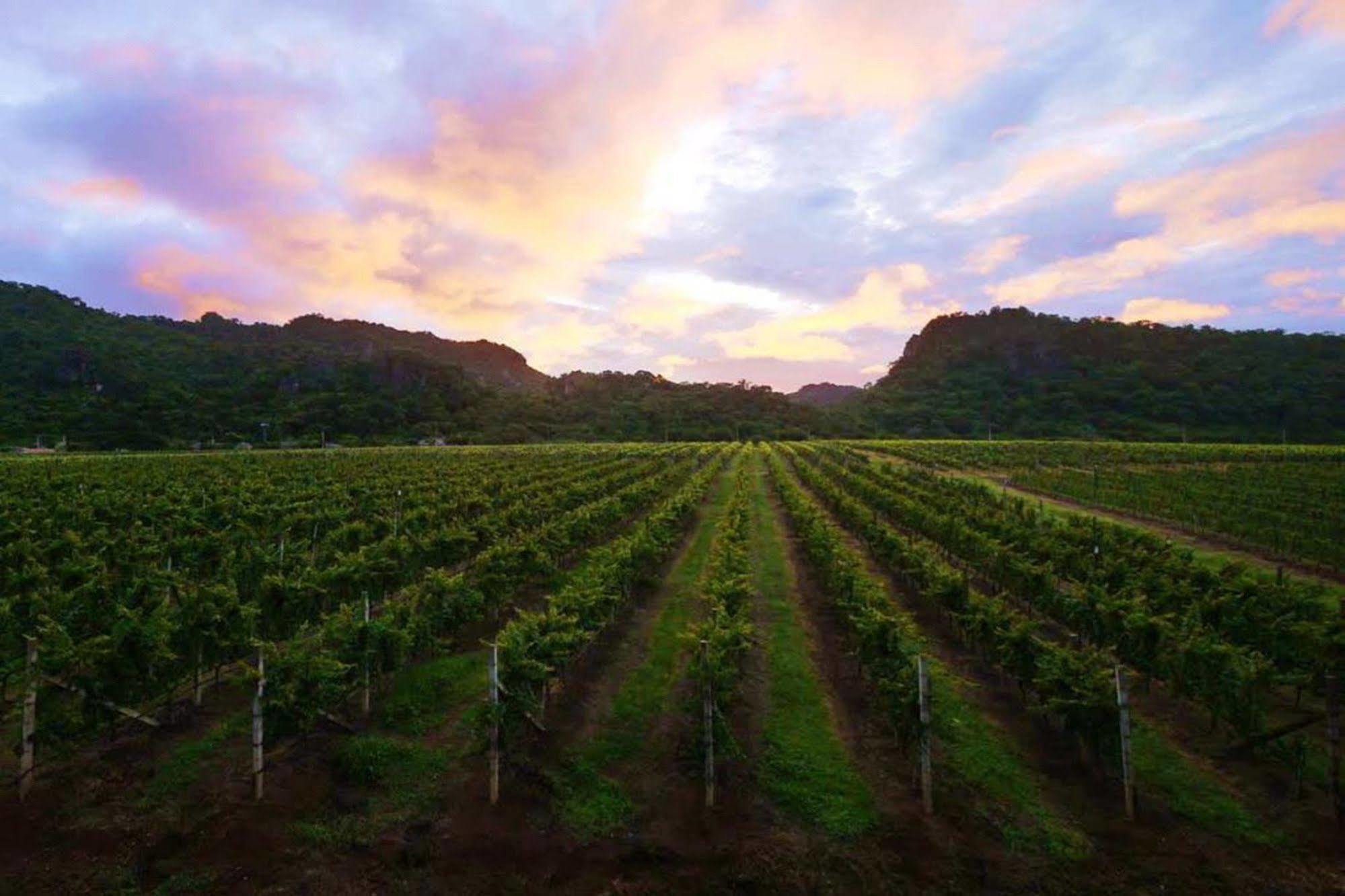 Granmonte Wine Cottage Phajajen Kültér fotó