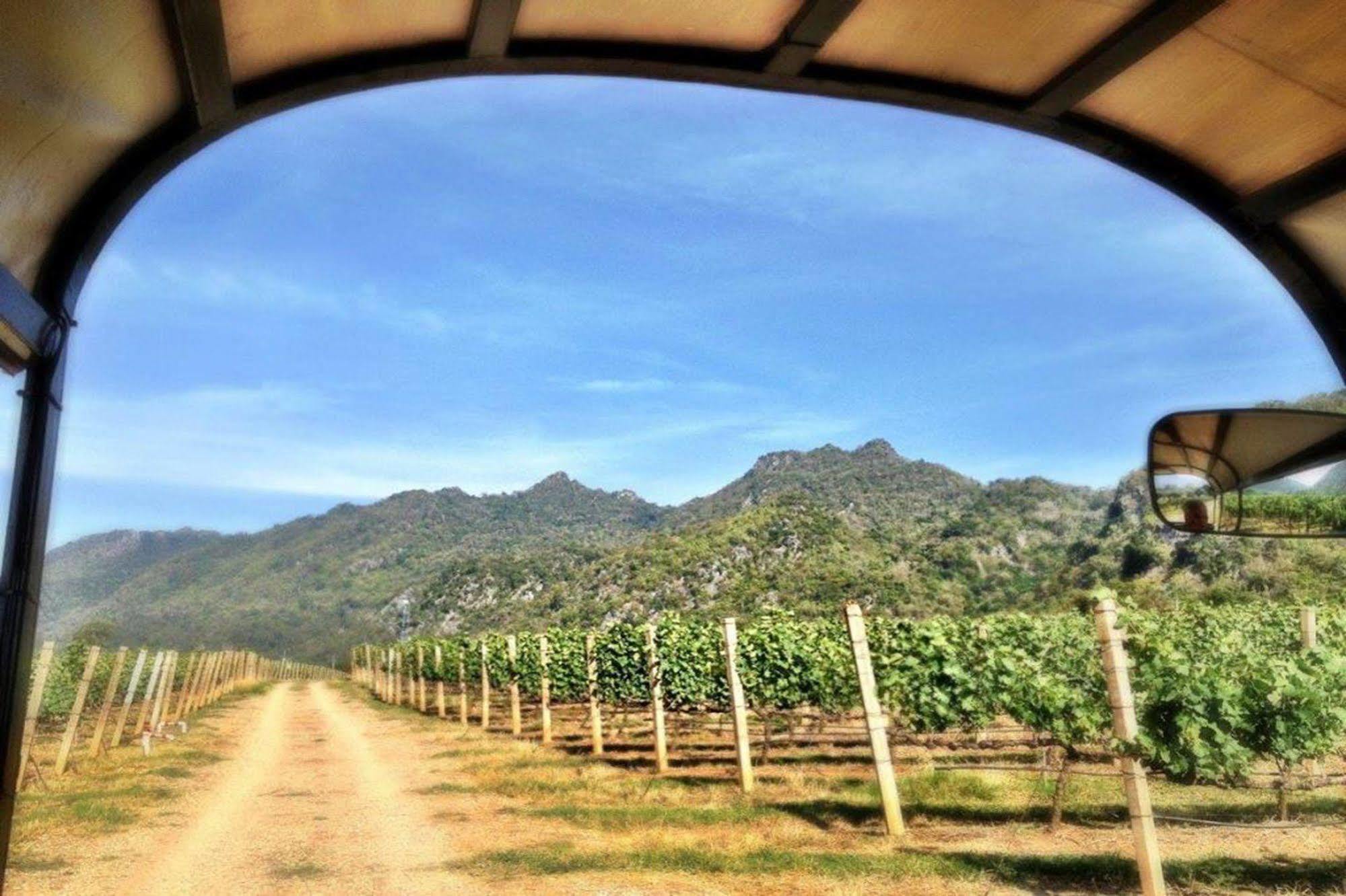 Granmonte Wine Cottage Phajajen Kültér fotó
